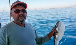 Balon balığı istilasına 'avcılık' tedbiri