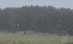 Bolu'da yaylalara kar yağdı