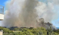 Antalya'da orman yangını/Ek fotoğraflar