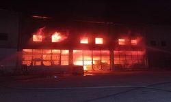 Antalya'da tarım kimyasalları fabrikasında yangın