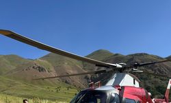 Bingöl'de arı sokması sonucu bilinç kaybı yaşayan hasta, ambulans helikopterle Erzurum'a götürüldü