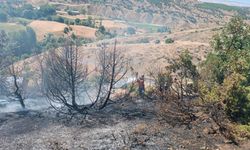 Bingöl’de çıkan örtü yangını, ormana sıçramadan söndürüldü