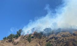 Bingöl’de iki ilçede orman yangını
