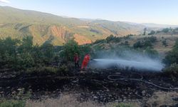 Bingöl'deki orman yangını söndürüldü