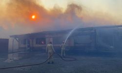 Çanakkale'de yangın/ Ek fotoğraflar
