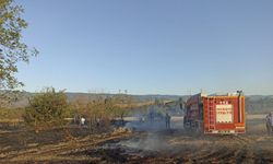 Kastamonu'da anız kaynaklı çıkan yangında 4 dönüm tarla zarar gördü
