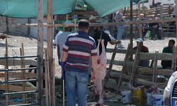 Konya'da izinsiz kurban pazarında kaçak kesim