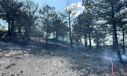 Kütahya'daki orman yangını, erken müdahaleyle büyümeden kontrol altına alındı