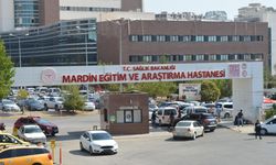 Mardin'de polis memuru, eşi ve 3 yaşındaki oğlunu öldürüp, intihar etti
