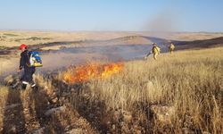Mardin'in örtü yangınları; 25 hektarlık alan zarar gördü
