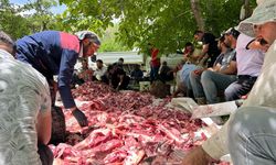 Yüksekova'da kurban etleri toplanıp, herkese eşit dağıtılıyor