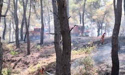 Antalya'da orman yangını (2)
