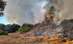 Antalya'daki orman yangınında 30 hektarlık alan zarar gördü