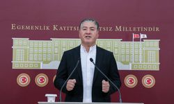 CHP'li Emir: Cuma günü Giresun'da 'fındık mitingi' yapacağız