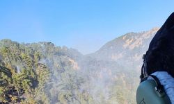 Denizli'deki orman yangını 17 saatte kontrol altına alındı