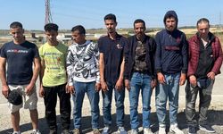 Edirne’de 20 kaçak göçmen yakalandı