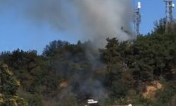 EDİRNE’nin İpsala ilçesinde çıkan orman yangını söndürüldü (VİDEO EKLENDİ)