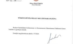 İYİ Parti'den TBMM'ye 'Bozkurt' teklifi