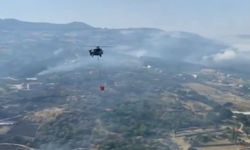 İZMİR'de orman yangını; 2 mahalle boşaltıldı (4) (VİDEO EKLENDİ)