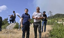 İzmir'de orman yangını, 2 mahalle boşaltıldı (5)