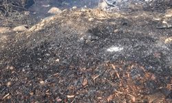 Manavgat'ta çöplükte yangın! Tarım arazilerine zarar verdi