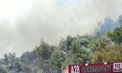 Manisa'da orman yangını (2)