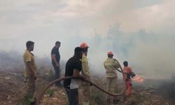 MANİSA'da ormana düşen yıldırım yangın çıkardı; 20 dönüm alan zarar gördü (VİDEO EKLENDİ)