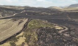 Patnos'taki arazi yangını 8 saatte söndürüldü