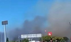 Urla'daki anız yangını korkuttu; alevler, akaryakıt istasyonuna 200 metre kala kontrol altına alındı