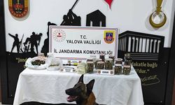 Yalova'da uyuşturucu operasyonlarında 2 şüpheli tutuklandı