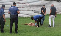 Antalya'da şüpheli ölüm! Parkta yarı çıplak halde bulundu