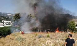 Antalya'da orman yangını! Kontrol altına alındı