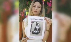 Antalya'da uçakta kaybolan kedisini sokak sokak arıyor
