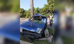 Manavgat'ta otomobil palmiyeye çarptı! Sürücü Seyfettin Yılmaz öldü