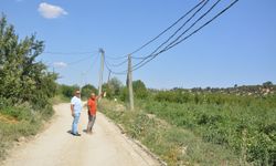 Çiftçiler, tahta elektrik direklerinden dertli! Yangın riski taşıyor