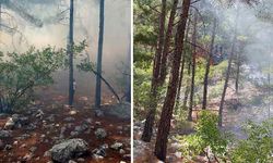 Antalya'da orman yangını! Havadan karadan müdahale