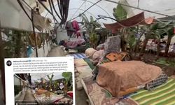 Mahsun Kırmızıgül yardım istedi! Deprem bölgesinde 200 kişi 44 gündür serada yaşıyor!