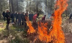 Antalya'da orman yangınında personel için panik butonu