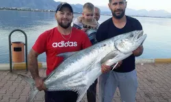 Amatör balıkçının Ramazan bereketi! Oltayla 27 kiloluk akya balığı avladı