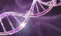 Ayak izi veya nefesten insan DNA'sı tespit edilebiliyor