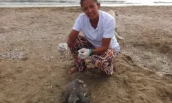 Bir haftada 5 ölü deniz kaplumbağası! Manavgat'ta sahile vurdu