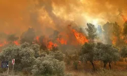 Akdeniz ve Güney Ege'ye orman yangını uyarısı!