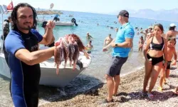 Konyaaltı'nda 'Aslan Balığı Avcılığı Yarışması': Önce yarıştılar ardından yediler