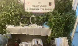 Antalya'da iki ilçede operasyon! 4 kişi yakalandı