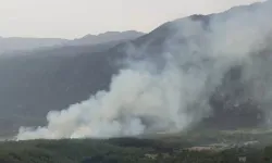 Manavgat'ta korkutan orman yangını: Seferber olundu
