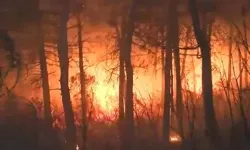 Ormanlık alanda yangın! Çok sayıda ekip sevk edildi