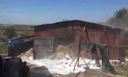 Manavgat'ta ahır alev aldı! 2 bin balya saman yandı