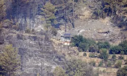 Alanya'daki orman yangınında 21. saat! 17 ev tamamen yandı