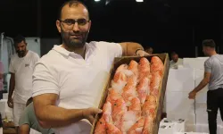 Akdeniz'de av yasağı kalktı! İşte Antalya'da yeni sezon balık fiyatları