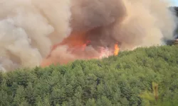 Alanya'daki orman yangınında 8. saat! Müdahale sürüyor